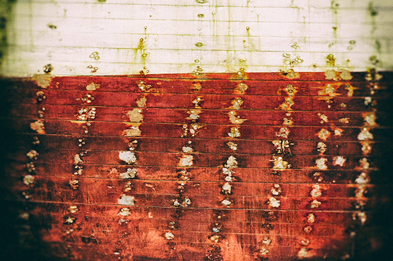 Print by Doug McIntosh