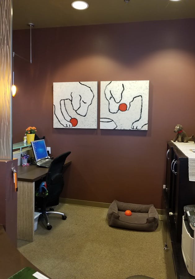 What to hang on the walls of a dental practice whose owner always has her dog nearby!