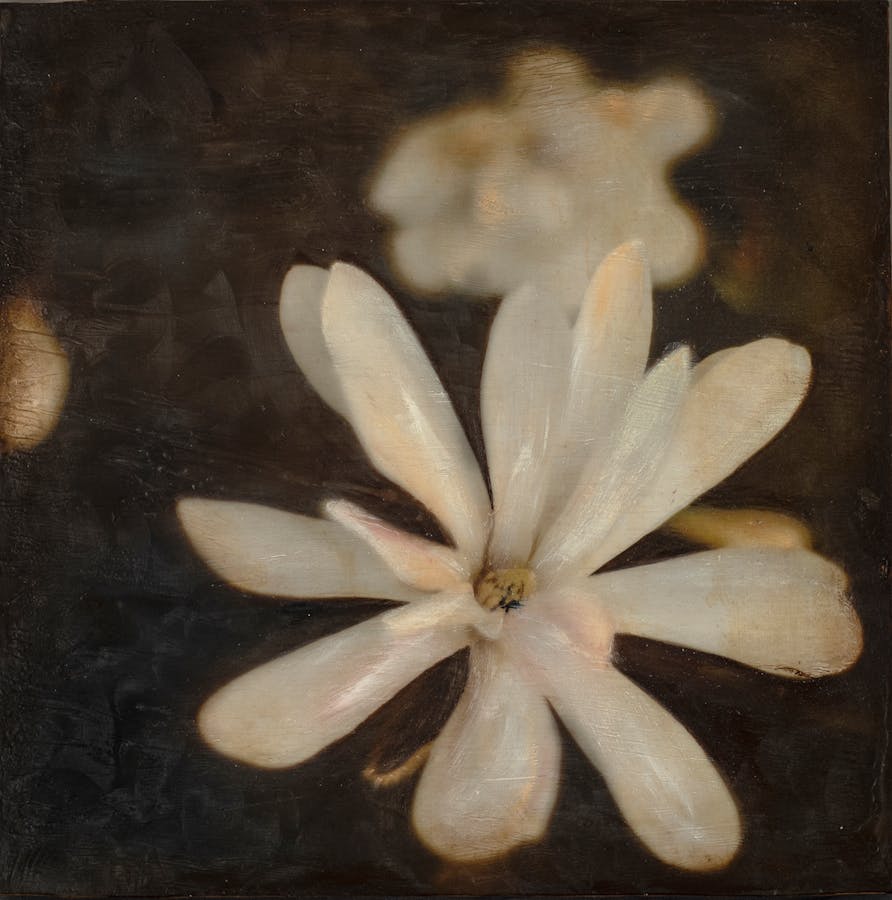 Painting by Nichole DeMent