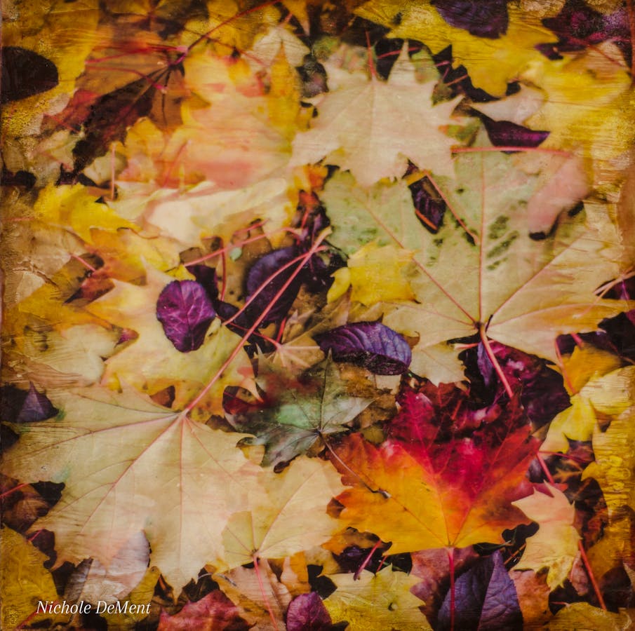 Painting by Nichole DeMent