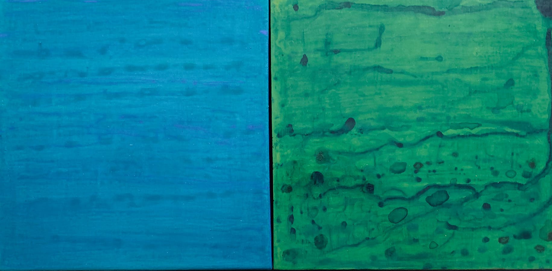Brilliant Series: Sapphire & Emerald Diptych